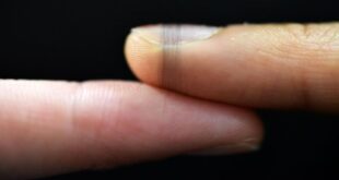 Capteurs électronique écologique en soies d'araignée qui va révolutionner la bioélectronique