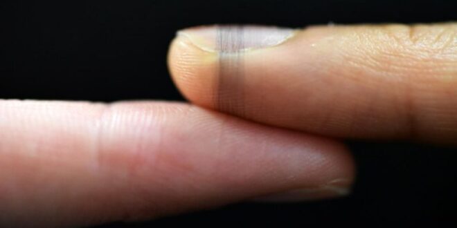 Capteurs électronique écologique en soies d'araignée qui va révolutionner la bioélectronique