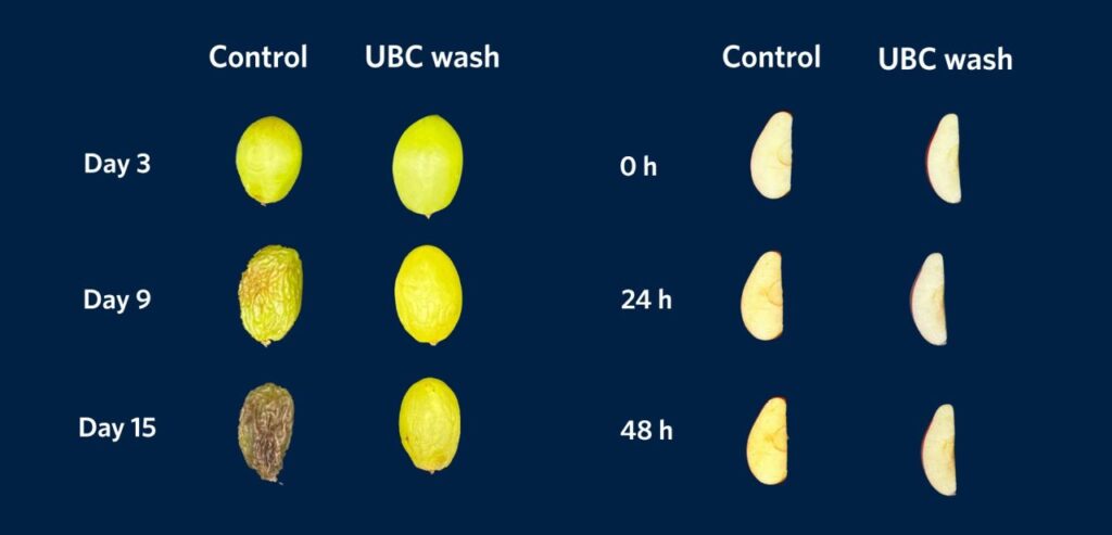 Ce lavage maison élimine 96 % des pesticides de vos fruits, et c'est du sérieux