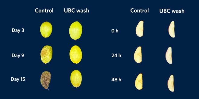 Ce lavage maison élimine 96 % des pesticides de vos fruits, et c'est du sérieux
