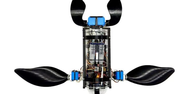 Ce lycéen de 15 ans a gagné 50 000 $ en construisant une tortue robot sous-marine qui détecte les microplastiques