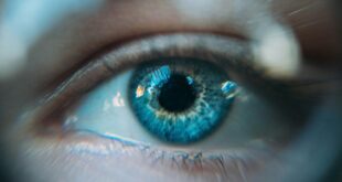 Cellules souches une greffe restaure la vue