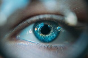 Cellules souches une greffe restaure la vue