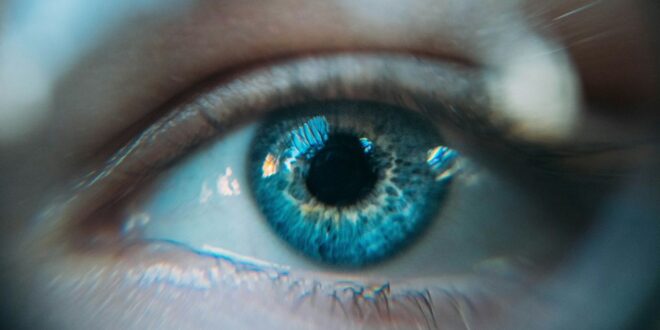 Cellules souches une greffe restaure la vue