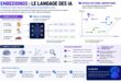 C'est quoi les embeddings Comment l'IA transforme du texte en nombres