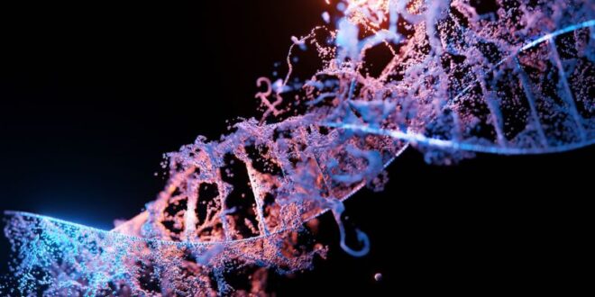 Découverte de 188 nouveaux types de CRISPR grâce à un algorithme innovant