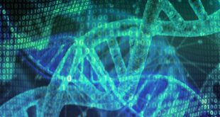 Des chercheurs transforment l'ADN en mémoire d'ordinateur, et le résultat consomme 100 fois moins d'énergie