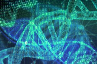 Des chercheurs transforment l'ADN en mémoire d'ordinateur, et le résultat consomme 100 fois moins d'énergie