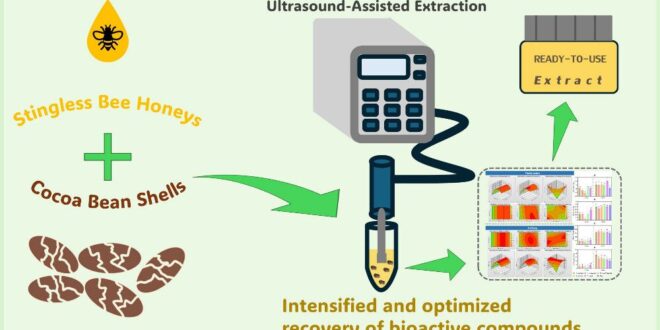 Du déchet au trésor comment des abeilles sauvages et des ondes sonores révolutionnent l'industrie du cacao