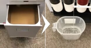 Eau à partir de l'air la machine japonaise qui bluffe