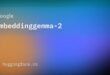 EmbeddingGemma 2 l’IA multimodale tient en poche