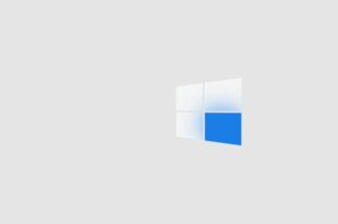 GDID Microsoft confirme que Windows a un identifiant secret impossible à désactiver