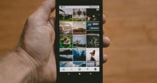 Google Photos, iCloud, Immich, Ente le comparatif complet pour choisir où confier vos souvenirs en 2026