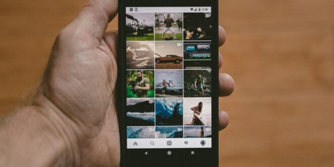 Google Photos, iCloud, Immich, Ente le comparatif complet pour choisir où confier vos souvenirs en 2026