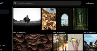 Immich l'alternative open source à Google Photos en 2026
