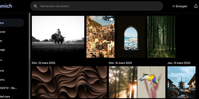 Immich l'alternative open source à Google Photos en 2026