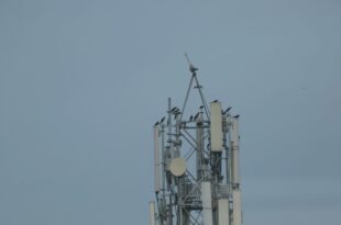 Japon La 6G dévoilé, 20 fois plus rapide que la 5G - une révolution technologique!