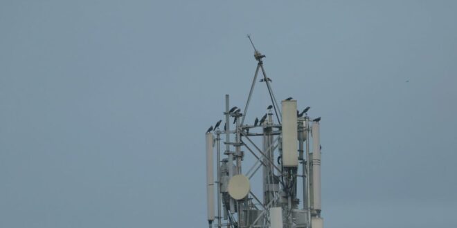 Japon La 6G dévoilé, 20 fois plus rapide que la 5G - une révolution technologique!