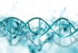 L'IA qui lit l'ADN c'est quoi l'AlphaGenome Atlas de DeepMind