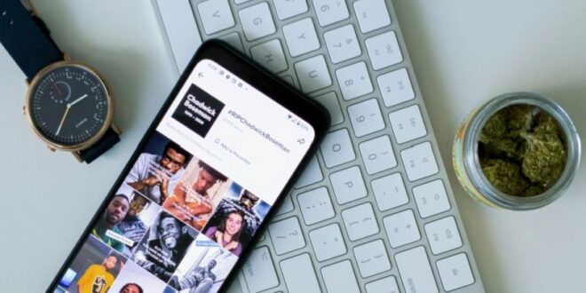 Le phénomène TikTok Analyse de sa technologie unique en son genre