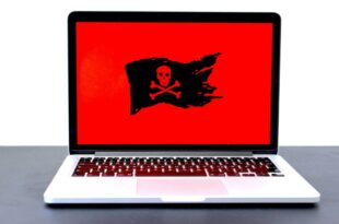Mini Shai-Hulud quand les hackers s'attaquent aux outils des développeurs IA