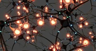 Nanoparticules contre Alzheimer la mémoire restaurée