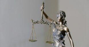 Régulation de l'IA pourquoi OpenAI et Anthropic la veulent