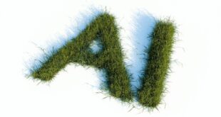 SAFA IA : c'est quoi ce futur organisme de normes ?