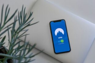 VPN gratuits vs payants en 2026 comparatif complet ProtonVPN, Mullvad, NordVPN, Windscribe et TunnelBear