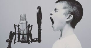 VoiceStudio vs ElevenLabs le gratuit tient-il tête