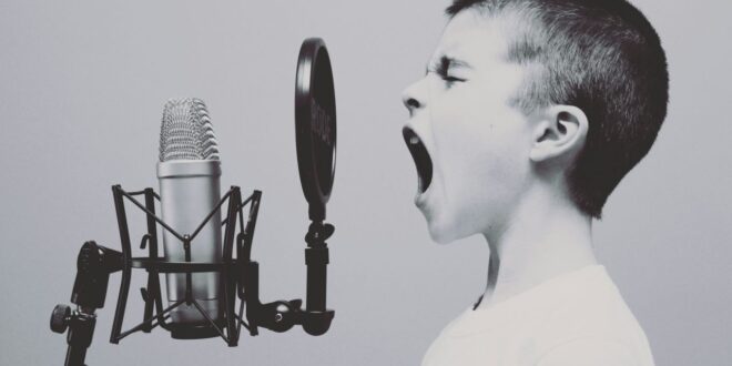 VoiceStudio vs ElevenLabs le gratuit tient-il tête
