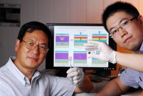 Une cellule hybride qui produit et stocke de l'énergie