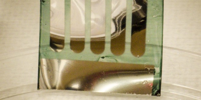 Des cellules solaires recyclables créées avec du bois