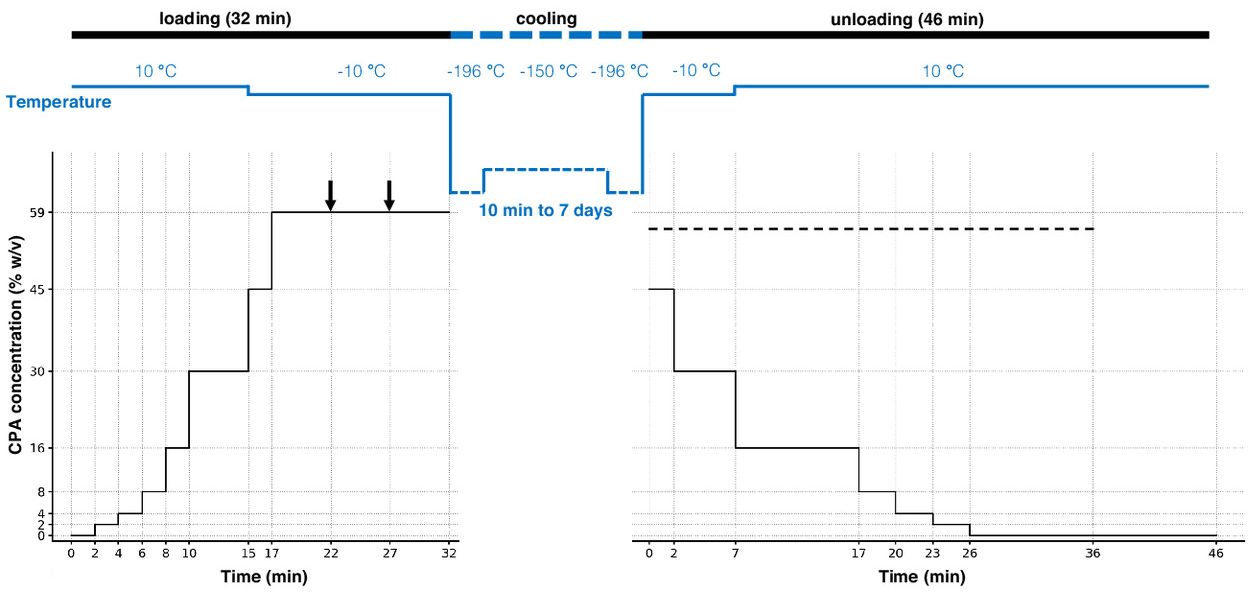 Réveil de cerveaux cryogénisés  la science repousse ses limites