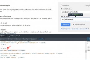 Voir les mots de passe cachés sous des astérisques