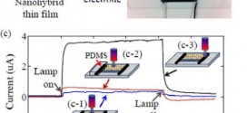Des nanomatériaux Hybrides convertissent la lumière et la chaleur en électricité