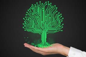 Bientôt on aura des plantes cyborgs