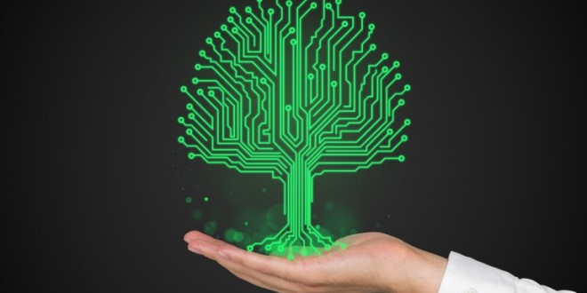 Bientôt on aura des plantes cyborgs