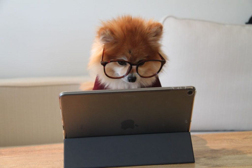 Recherchez des mots ou phrases dans vos documents
