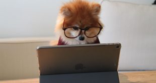 Recherchez des mots ou phrases dans vos documents