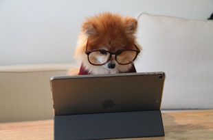 Recherchez des mots ou phrases dans vos documents