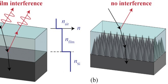 Les yeux de mites pourraient améliorer l'efficacité des cellules solaires