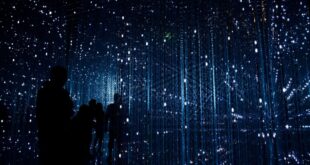 L'UE veut créer une réplique numérique de l'océan