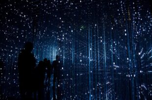 L'UE veut créer une réplique numérique de l'océan