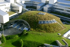 Produire de l'électricité à partir de plantes vivantes