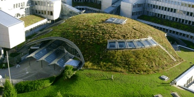 Produire de l'électricité à partir de plantes vivantes