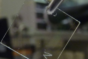 Le transistor organique rend l'électronique transparente