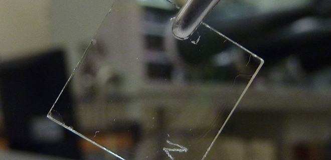 Le transistor organique rend l'électronique transparente