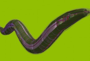 Les scientifiques ont créé un ver artificiel