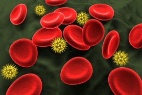 Les protéines du système immunitaire de l'homme peuvent supprimer le VIH